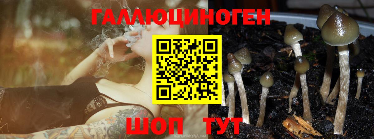 Семёнов  Псилоцибиновые грибы MAGIC MUSHROOMS  Вход с VPN  Псилоцибиновые грибы GOLDEN TEACHER 